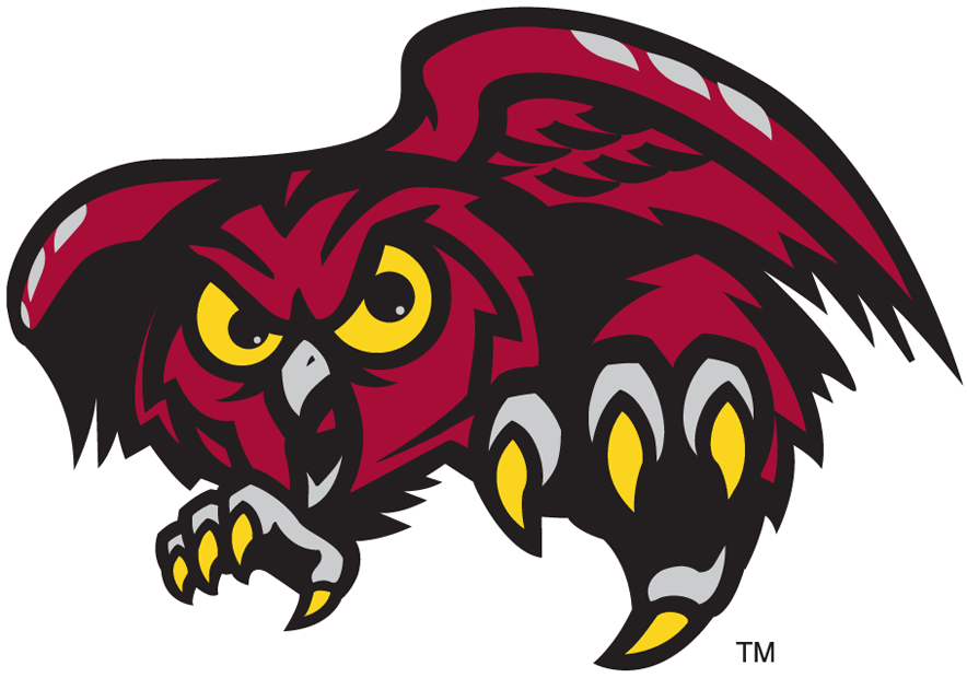 Temple Owls 1996-Pres Alternate Logo v3 iron on transfers for T-shirts